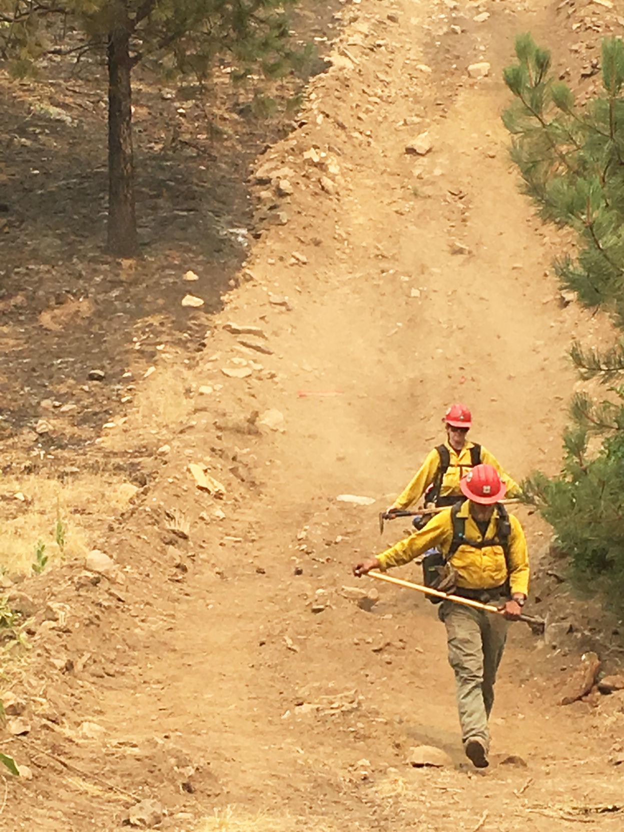 Firefighters on containment line